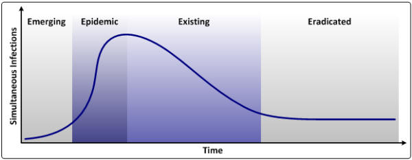 MalwareLifeCycle